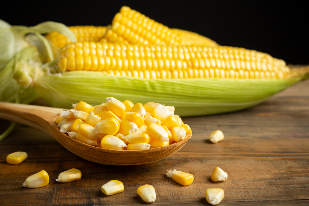 Jagung Premium