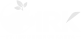 Indo Rhinos Karya
